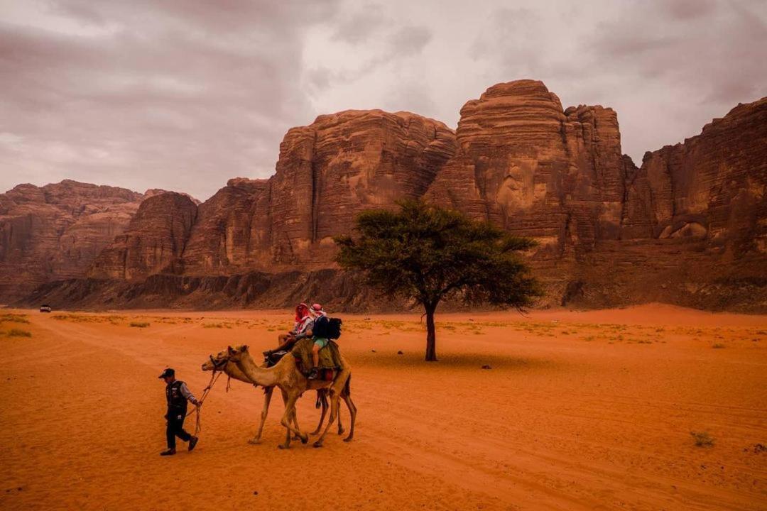 Moon City With Jeep Trips Wadi Rum Exterior foto