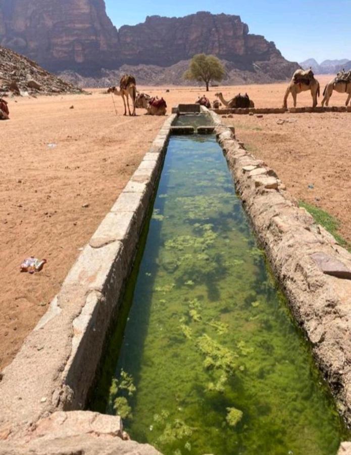 Moon City With Jeep Trips Wadi Rum Exterior foto
